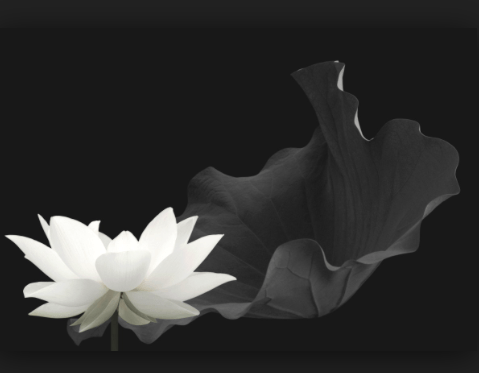 Screen Shot 2015-07-24 at 9.08.09 AM