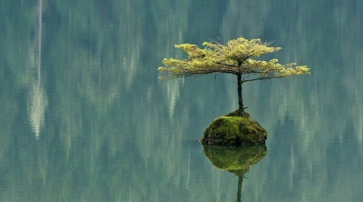 Screen Shot 2019-01-08 at 12.07.59 PM.png